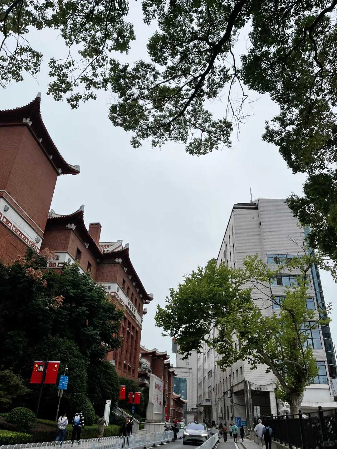 借卵生子保险能赔吗？专业人士告诉你